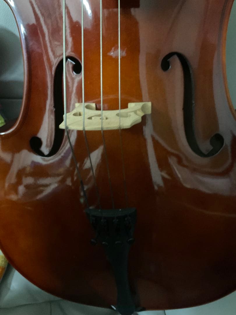 1/2チェロ　音楽経験者弦楽経験者向けの真面目な楽器　楽器ケース弓オマケ付き