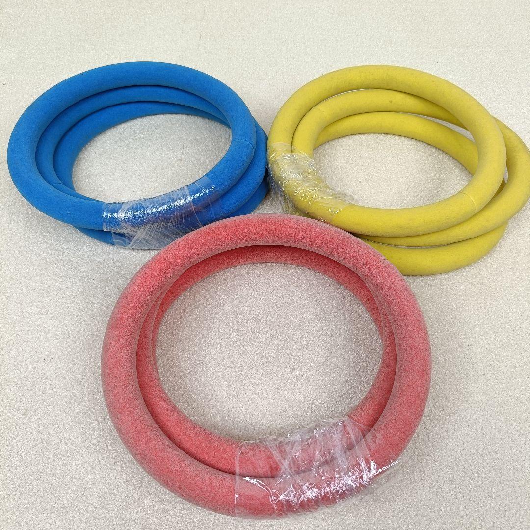 輪投げセット 国際輪投げ協会 公式モデル（スタンダードモデル）わなげ