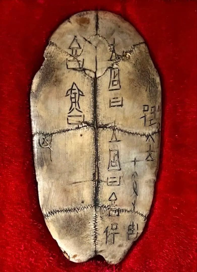 中国美術 希少 時代 古殷墟甲骨文 参考資料