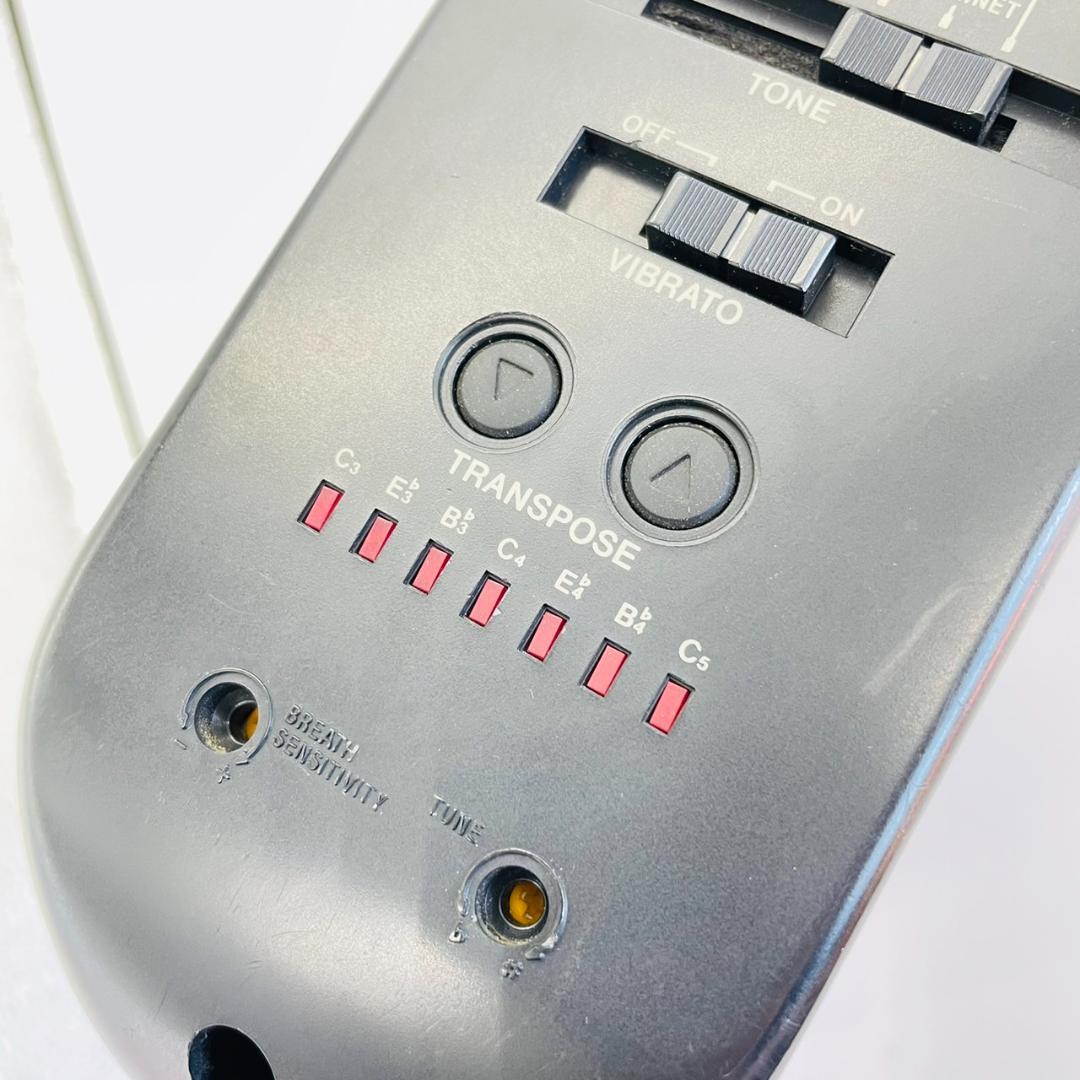 【送料込み】カシオ☆デジタルホーン DH-500☆アダプター付☆ジャンク