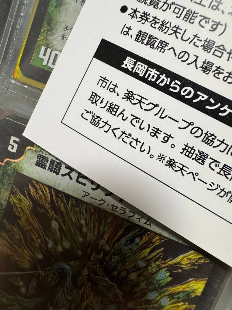 遊戯王OCG デュエルモンスターズ dsn