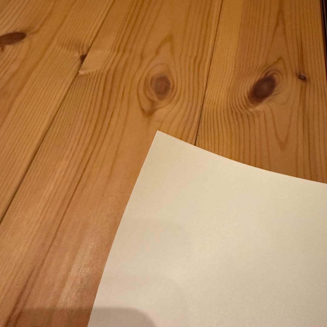 井上雄彦 最後のマンガ展 バガボンドB1ポスター　おつう