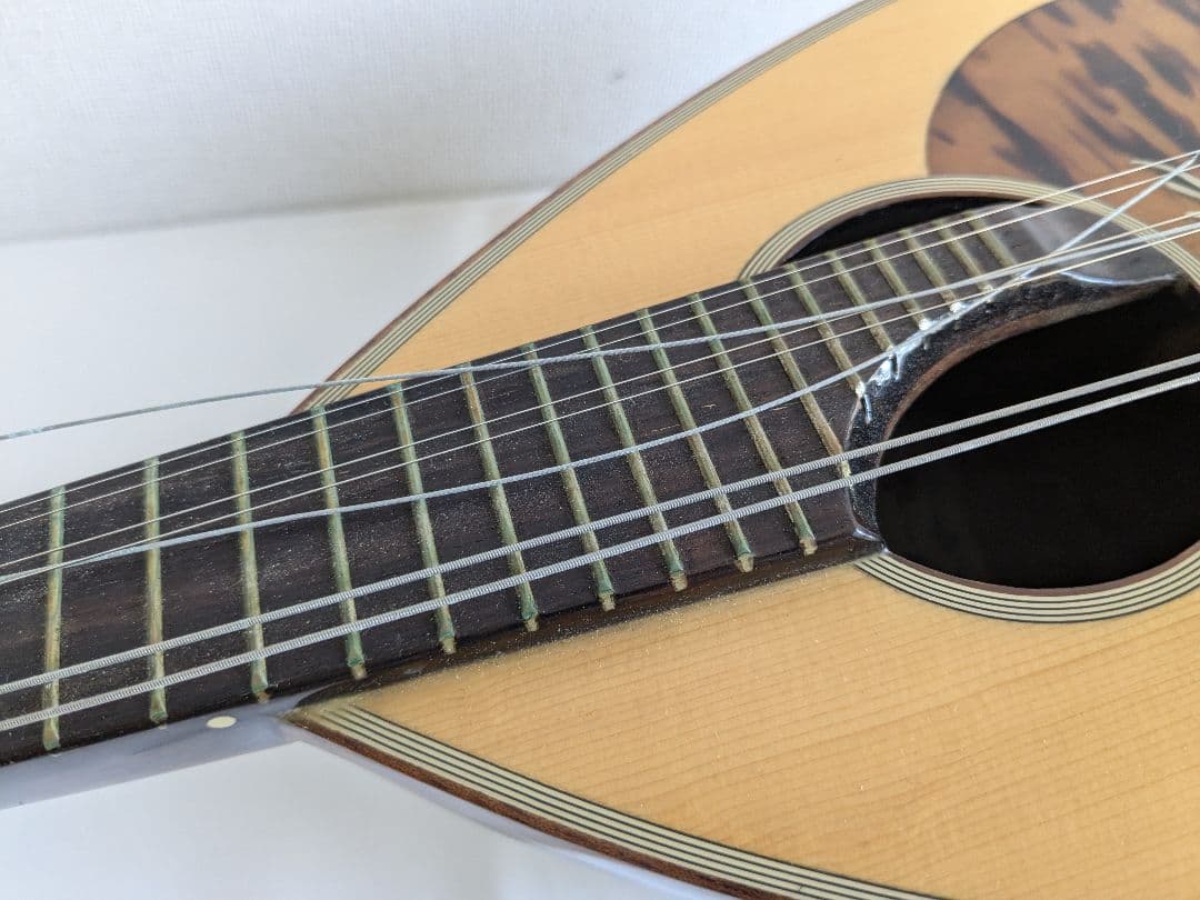 ラファエレ カラーチェ No.26 マンドリン SuperLight ケース付き