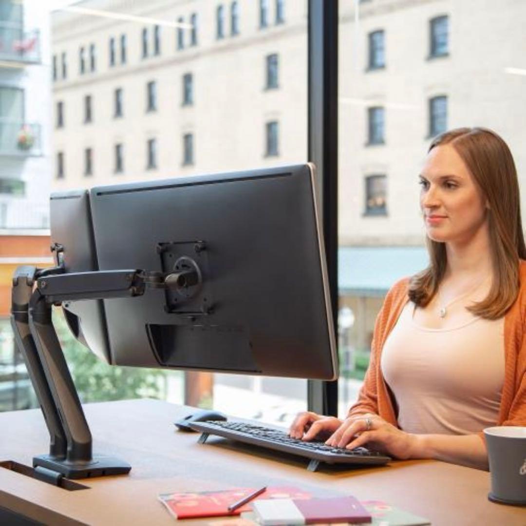 エルゴトロン MXV デュアルモニターアーム　おまけ付