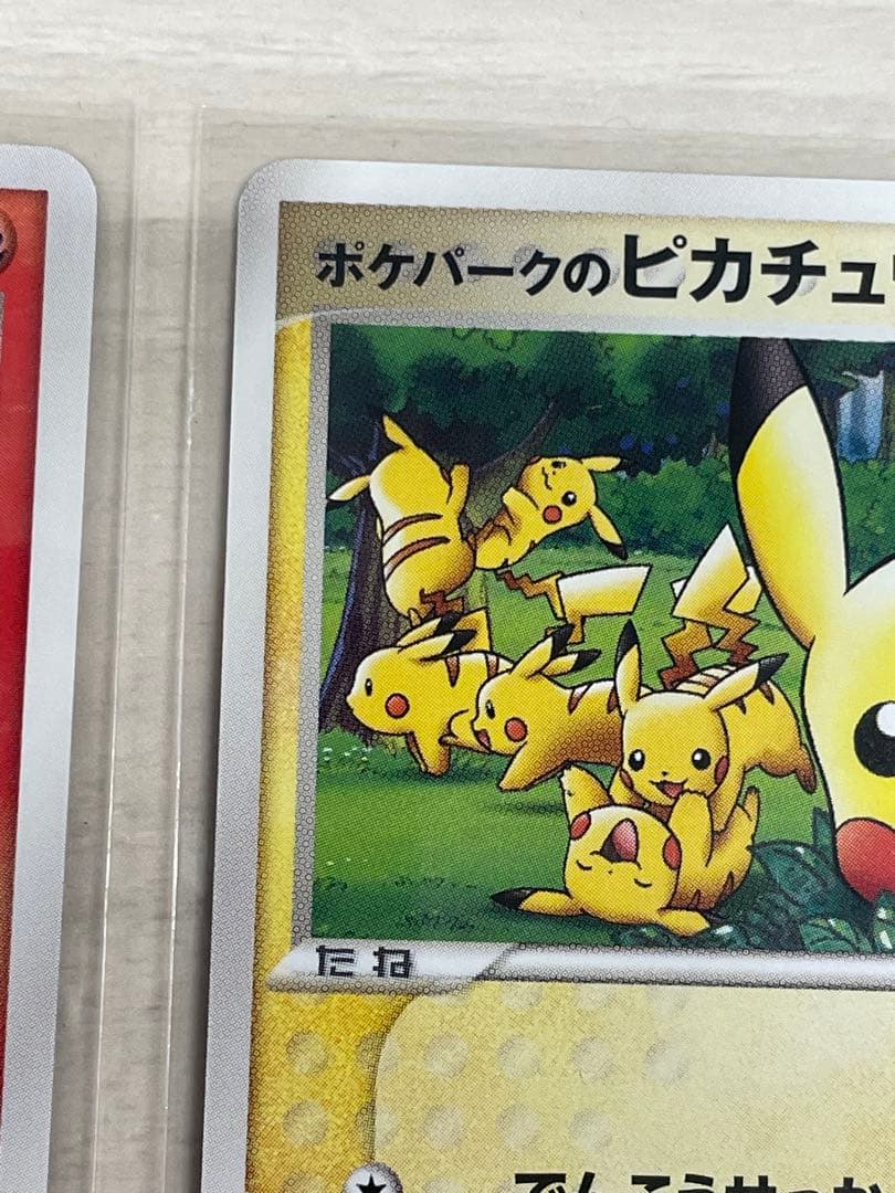 ポケパークのピカチュウ　ポケパークのアチャモ