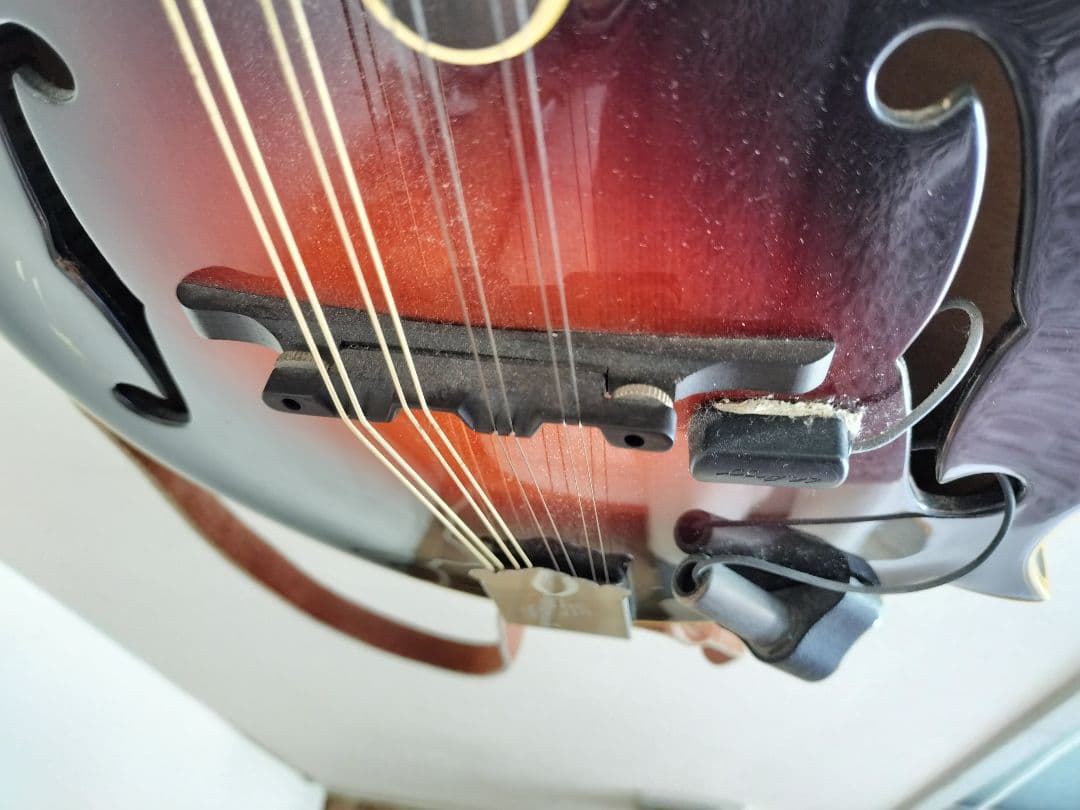 The Loar フラットマンドリン