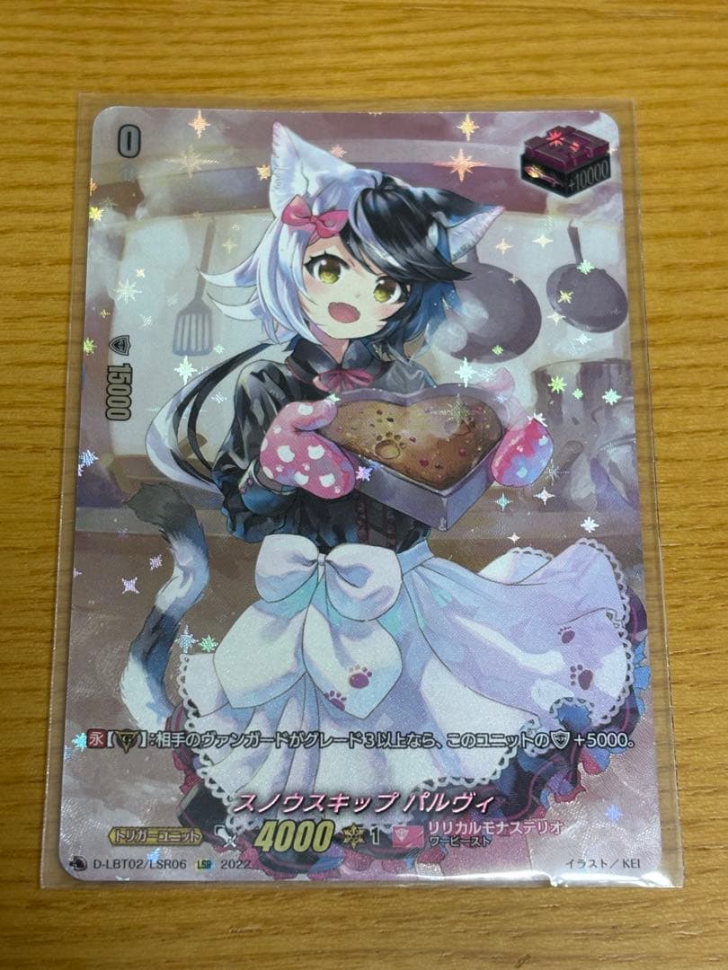 スノウスキップパルヴィLSR②