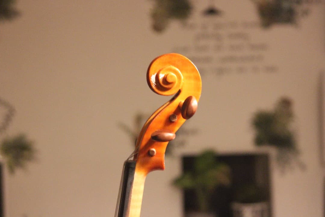 【1/5更新.製作楽器②】バイオリン(クレモネーゼモデル) 4/4 2025