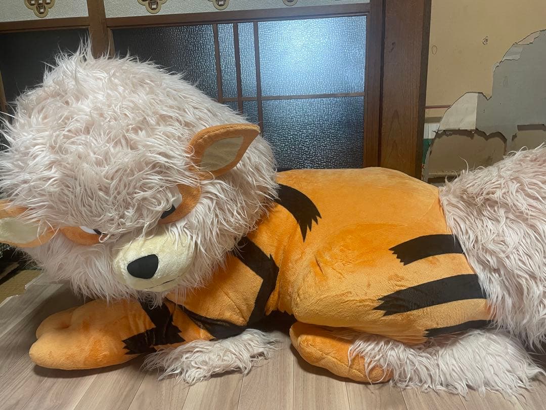 添い寝ウインディ