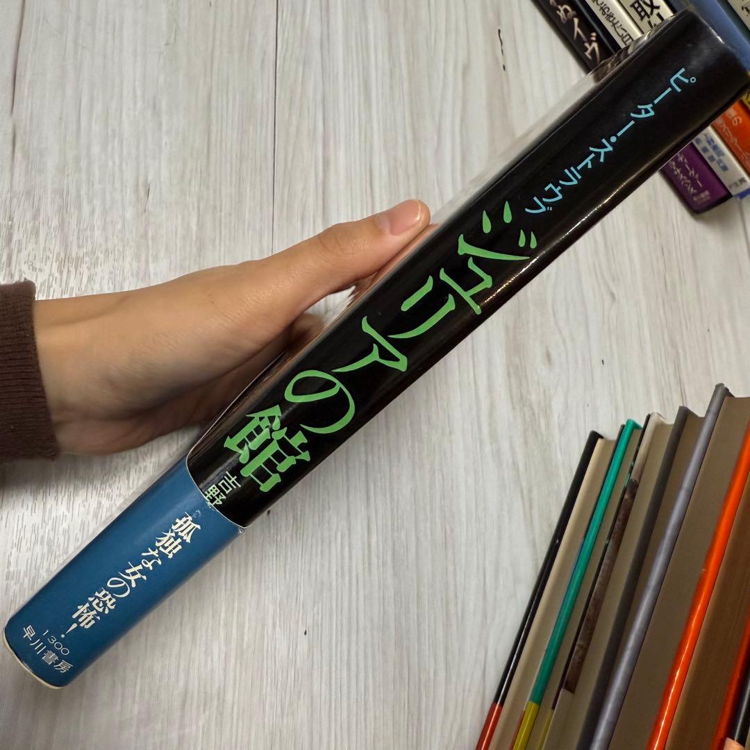 希少本 ジュリアの館 ピーター・ストラウブ Peter Straub著 初版