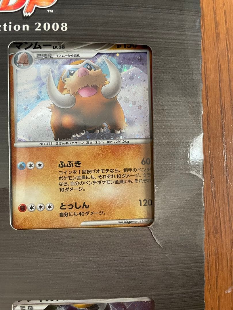 サ*ィ様 ポケモンムービーカードプレミアムコレクション 2008