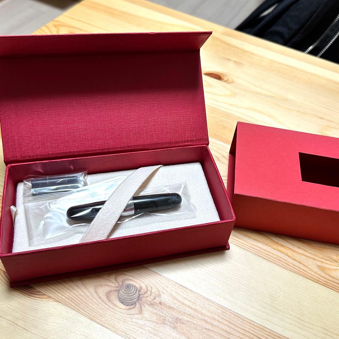 【未使用品】スティピュラ 万年筆 限定品 パッサポルト ブラックF（細字）