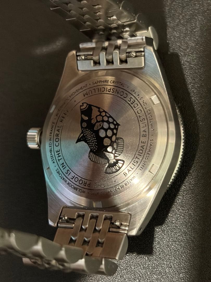 【美品】wolbrook skindiver auto 自動巻腕時計