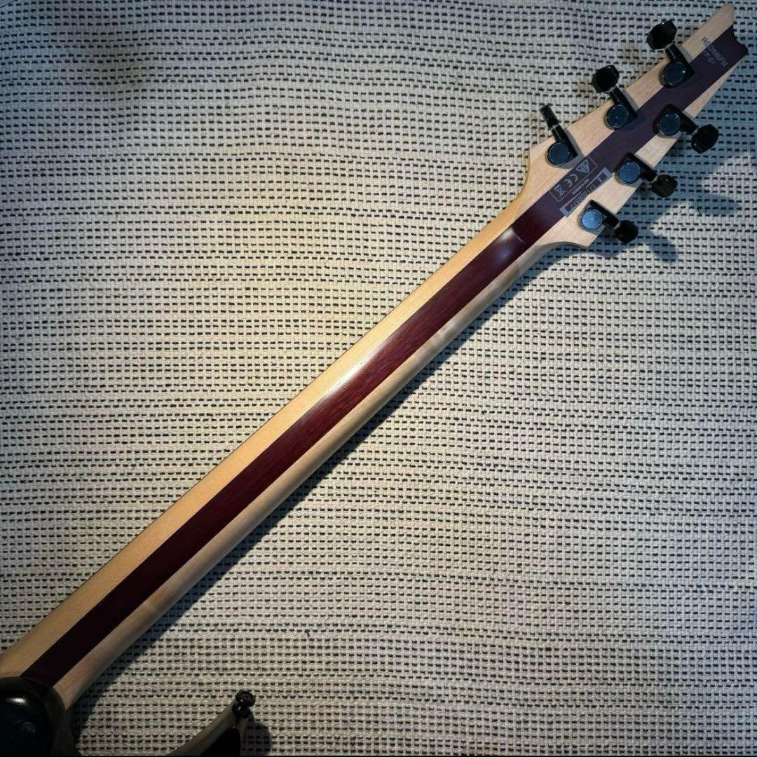 IBANEZ RGDIM6FM IRON LABEL / エレキギター
