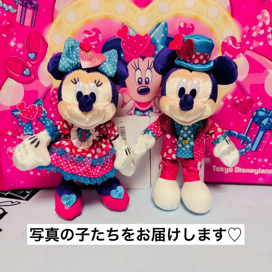 【匿名配送】　パルパルーザ　ぬいぐるみバッジ　ミニーのファンダーランド　2026