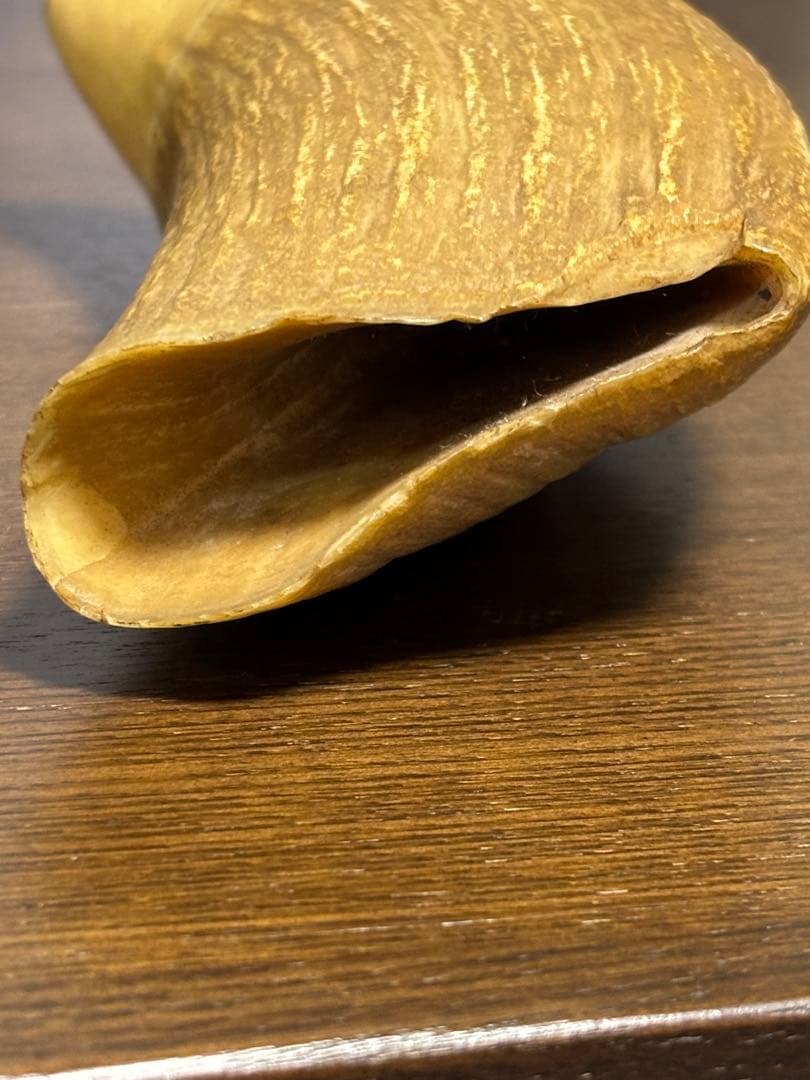 マッコウクジラ 鯨牙 鯨歯 天然素材 印材