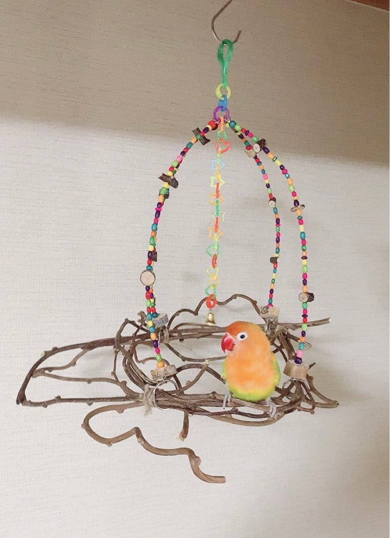 カラフルウッドブランコ♪キウイのツルஐ