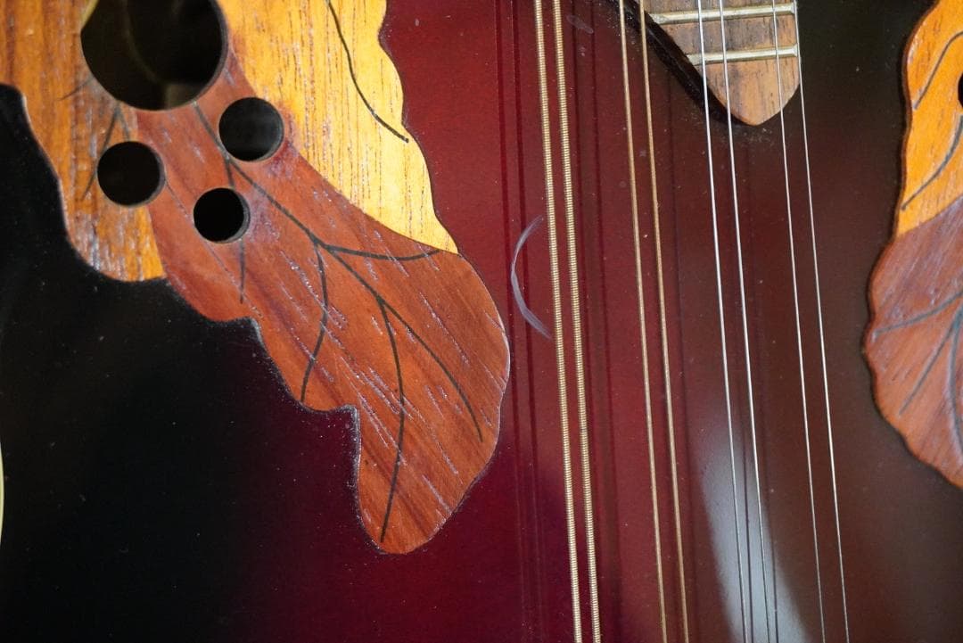 OVATION　Celebrity Mandolin MCS-148