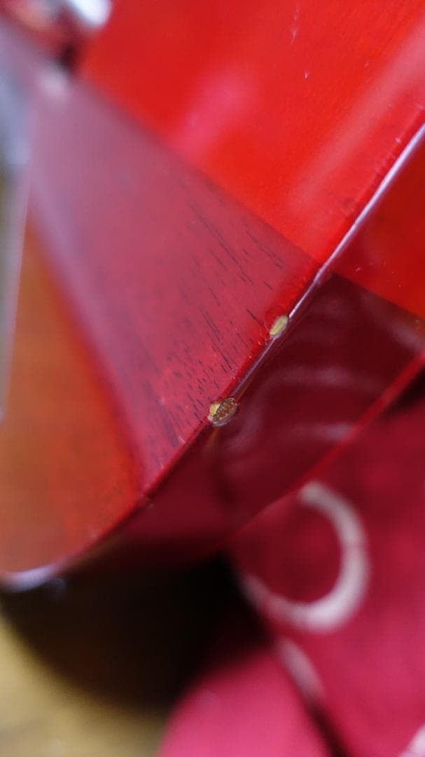 ESP Horizon CTM QM Fine Red ホライゾン エレキギター