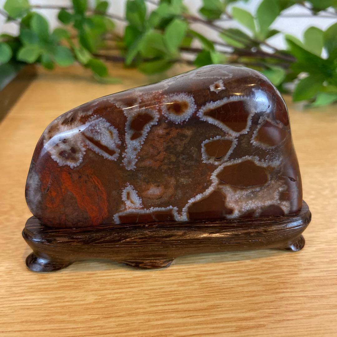 菊花石　★鑑賞石　美石　水石　盆栽