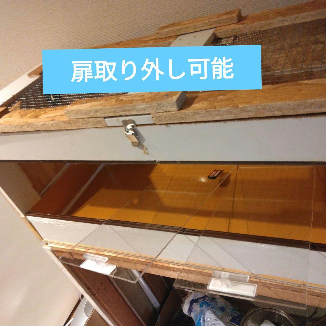 今期ラスト！自作爬虫類ケージ飼育セット