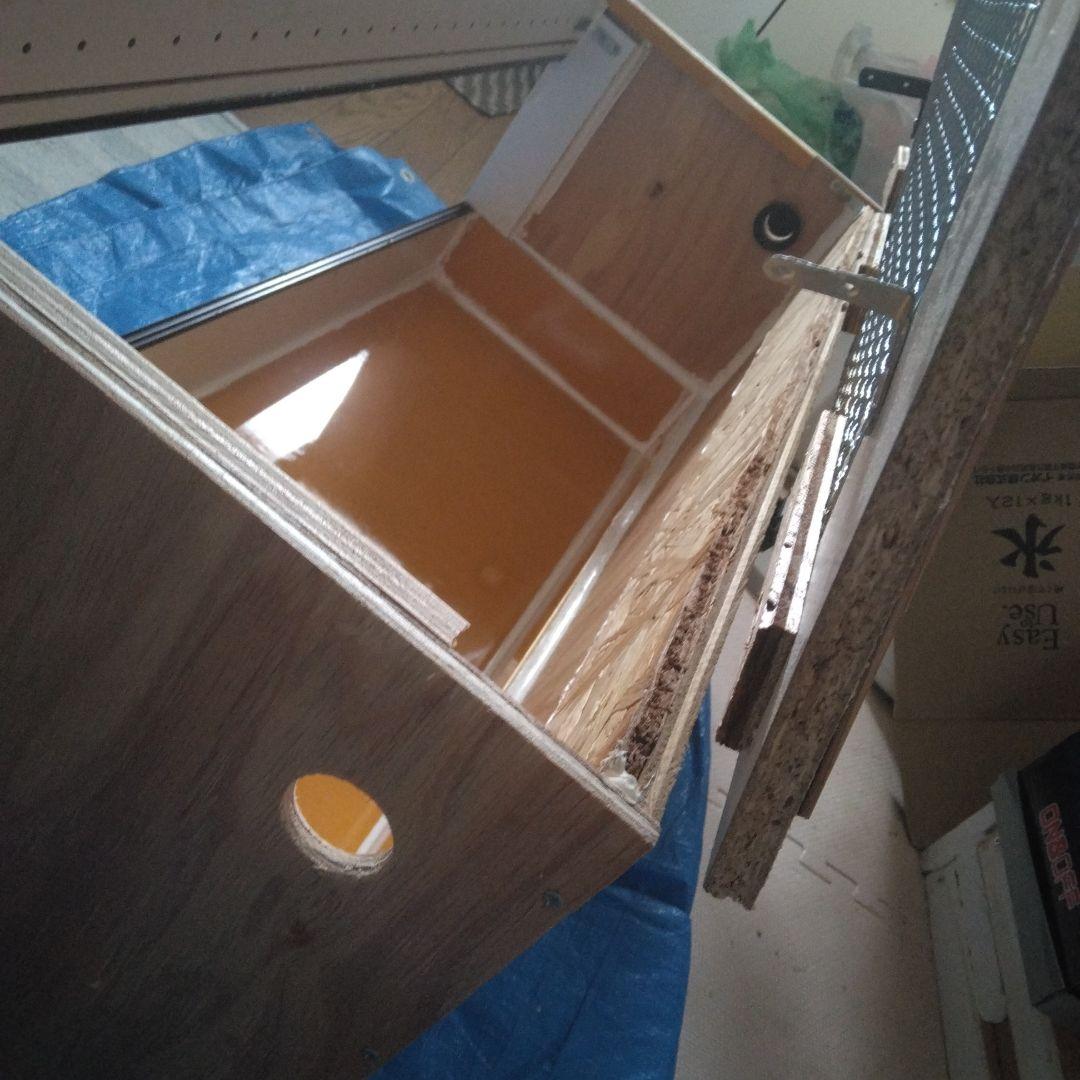 今期ラスト！自作爬虫類ケージ飼育セット