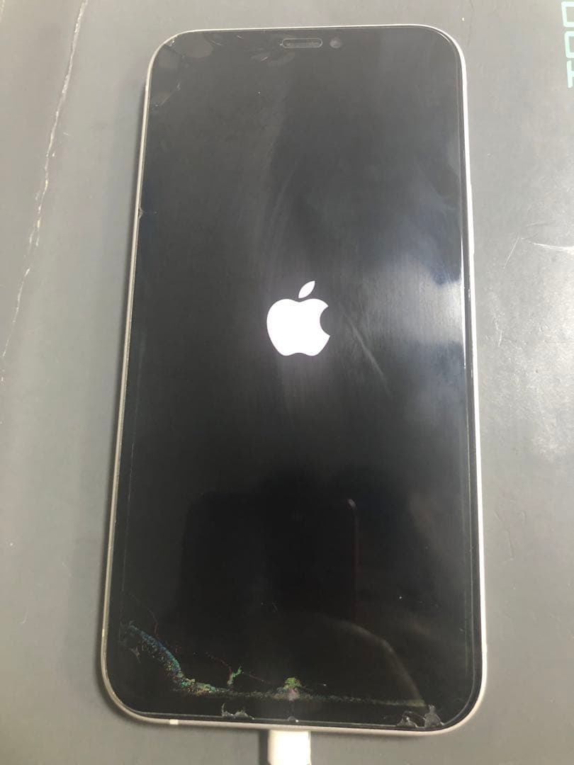 Apple iPhone 液晶漏れ　ジャンク品