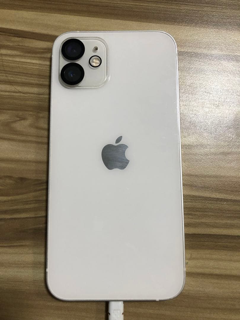 Apple iPhone 液晶漏れ　ジャンク品