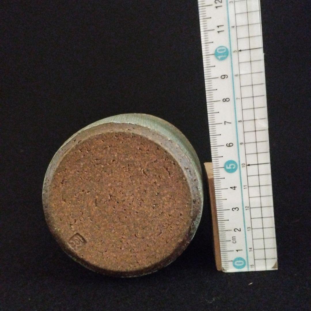 人気作家　伊藤東彦　布目徳利