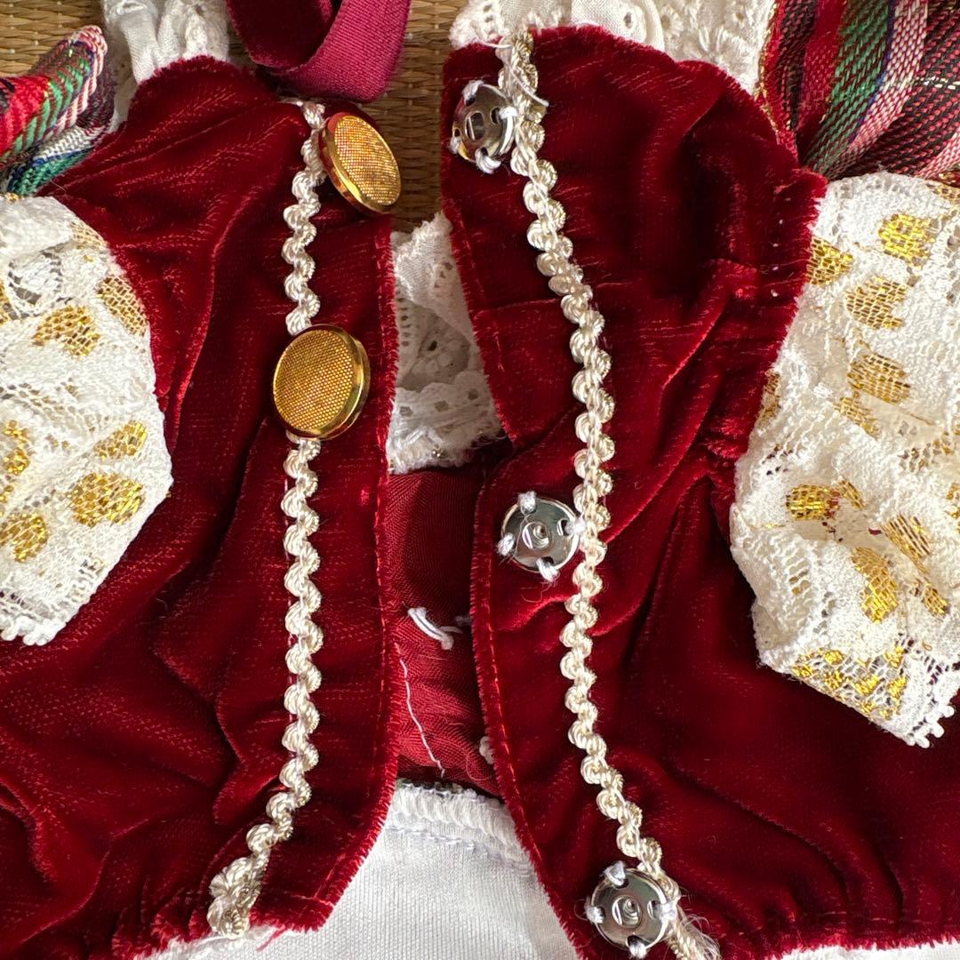 小型犬用クリスマスドレス