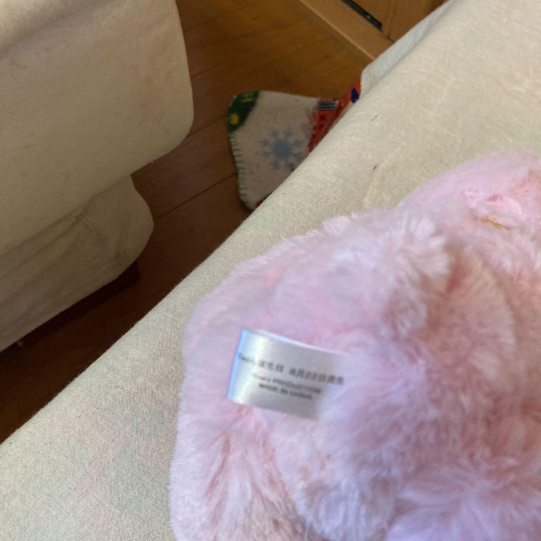 テディベア　ピンク　ぬいぐるみ　モコフワ　(株)シアーズ