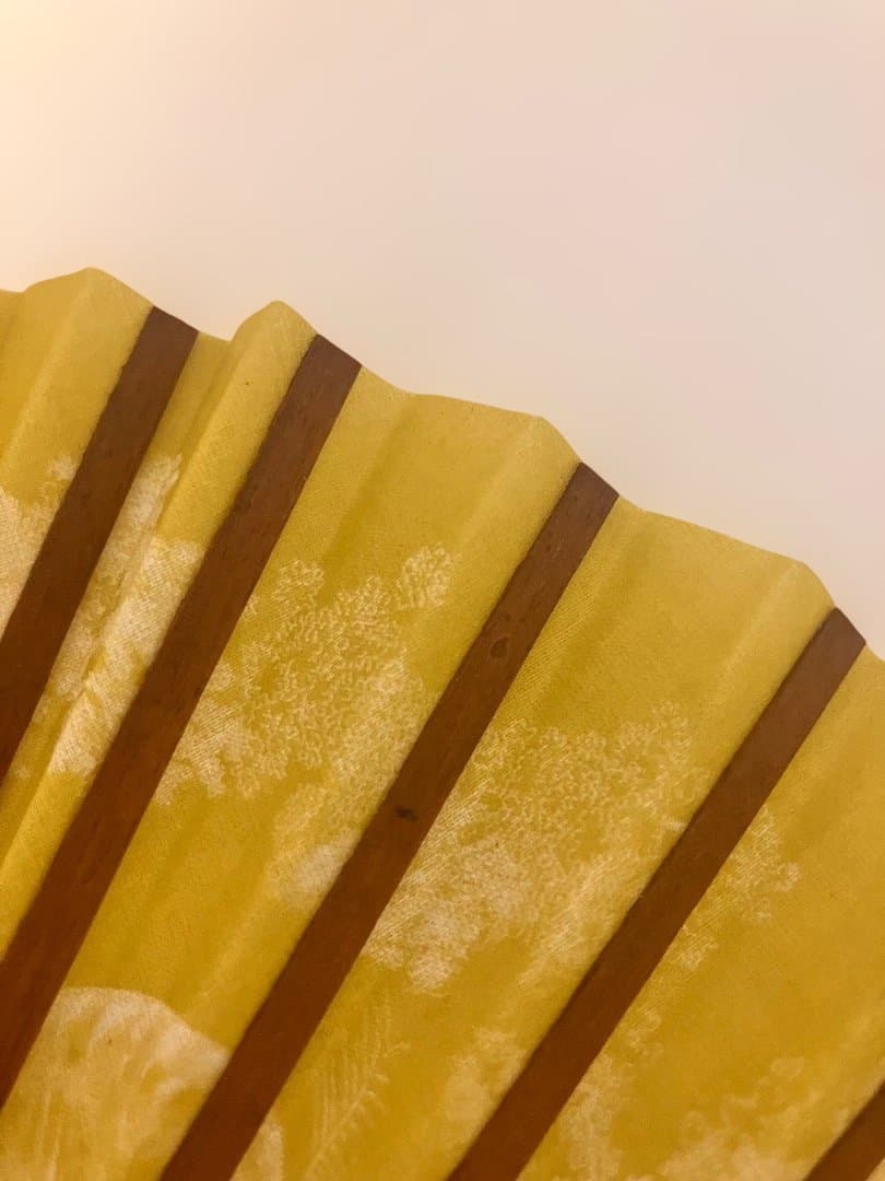 【新品・未使用】CHRISTIAN DIOR萌黄色扇子 トワル ドゥ ジュイ