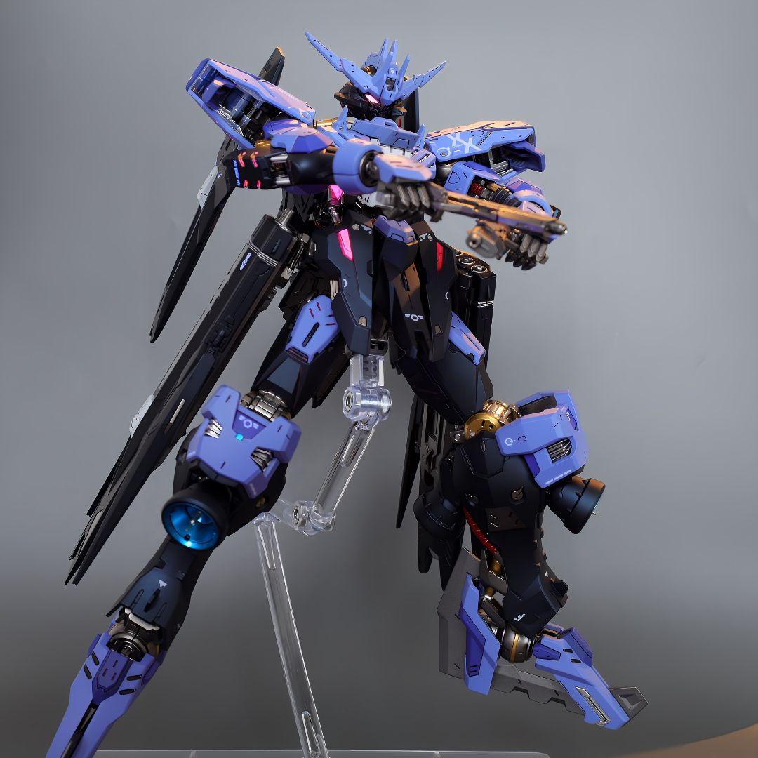 MG ASW-G-XX ガンダム ヴィダール　全塗装完成品