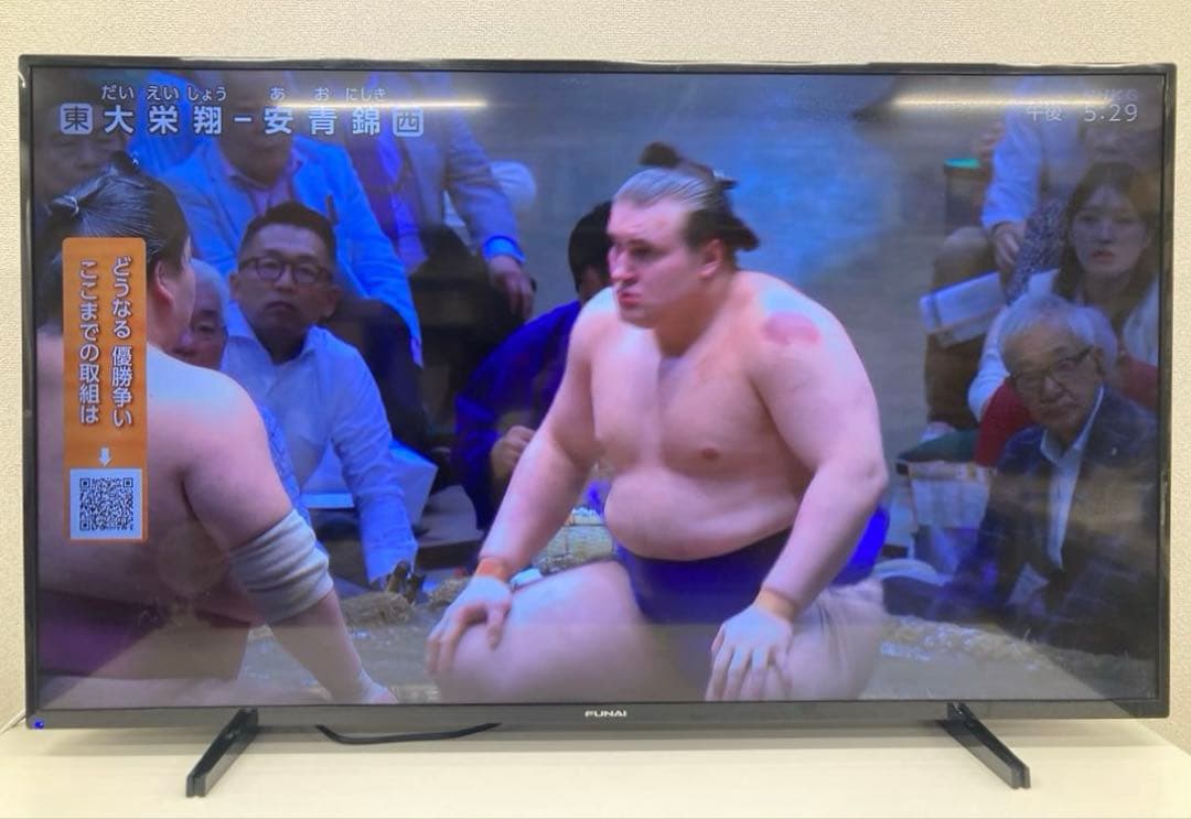 FUNAI フナイ 大画面 カラーテレビ FL-50U3130 50インチ