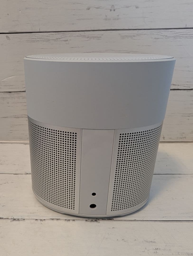 スピーカー・ウーファー Bose  speaker 300 SINGLE LUX SLV