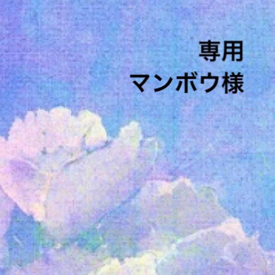 専用ページ マンボウ様