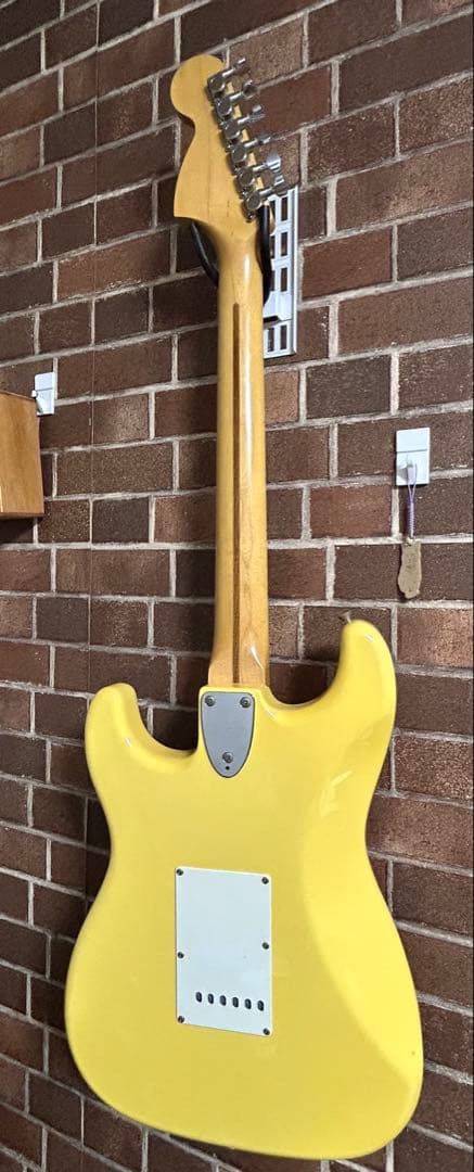 早い人勝ち　日本製　FERNANDES ザリバイバル