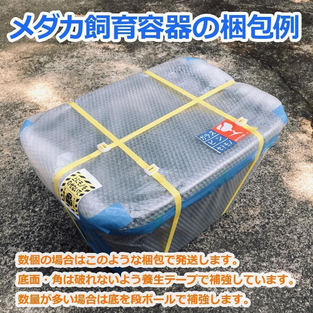 メダカ飼育ケース 56㍑x4個 白黒灰あり オーバーフロー加工済 金魚容器 越冬