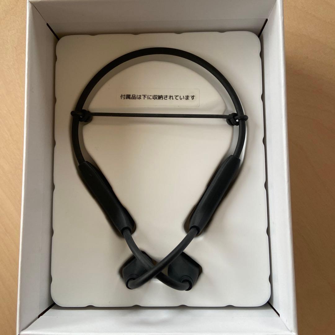 集音器　骨伝導　イヤホン