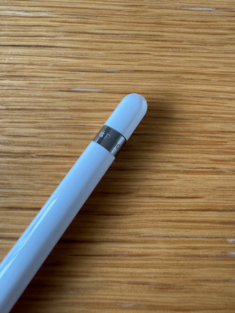 iPad mini5 256GB Apple Pencil付すぐ使えるフィルム付