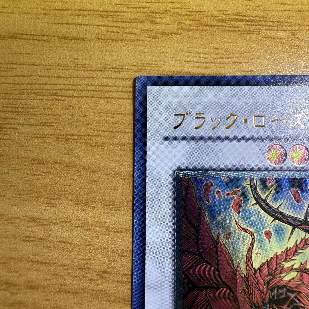 ブラックローズドラゴン　レリーフ　CSOC-JP039