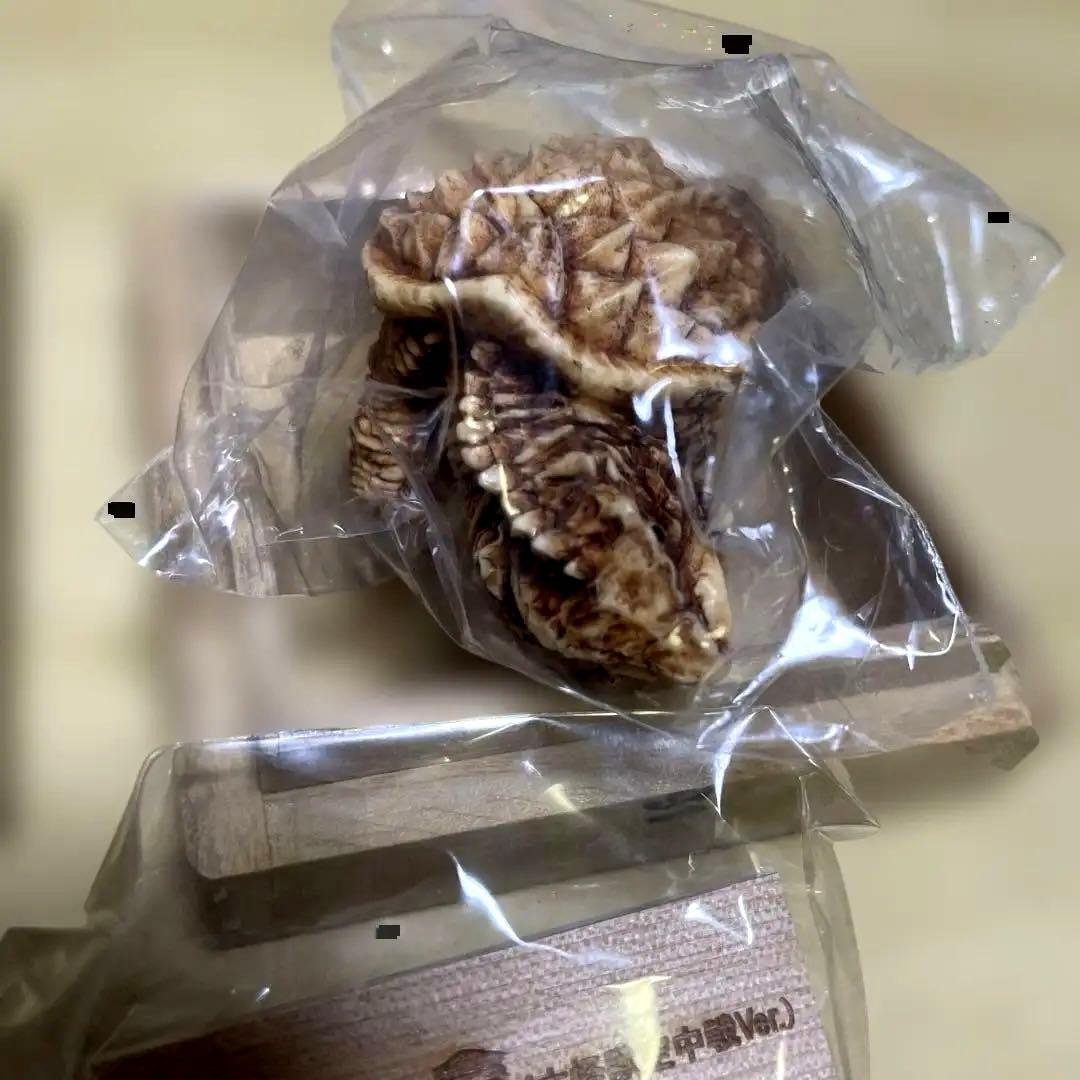 怪獣根付「ガメラ」