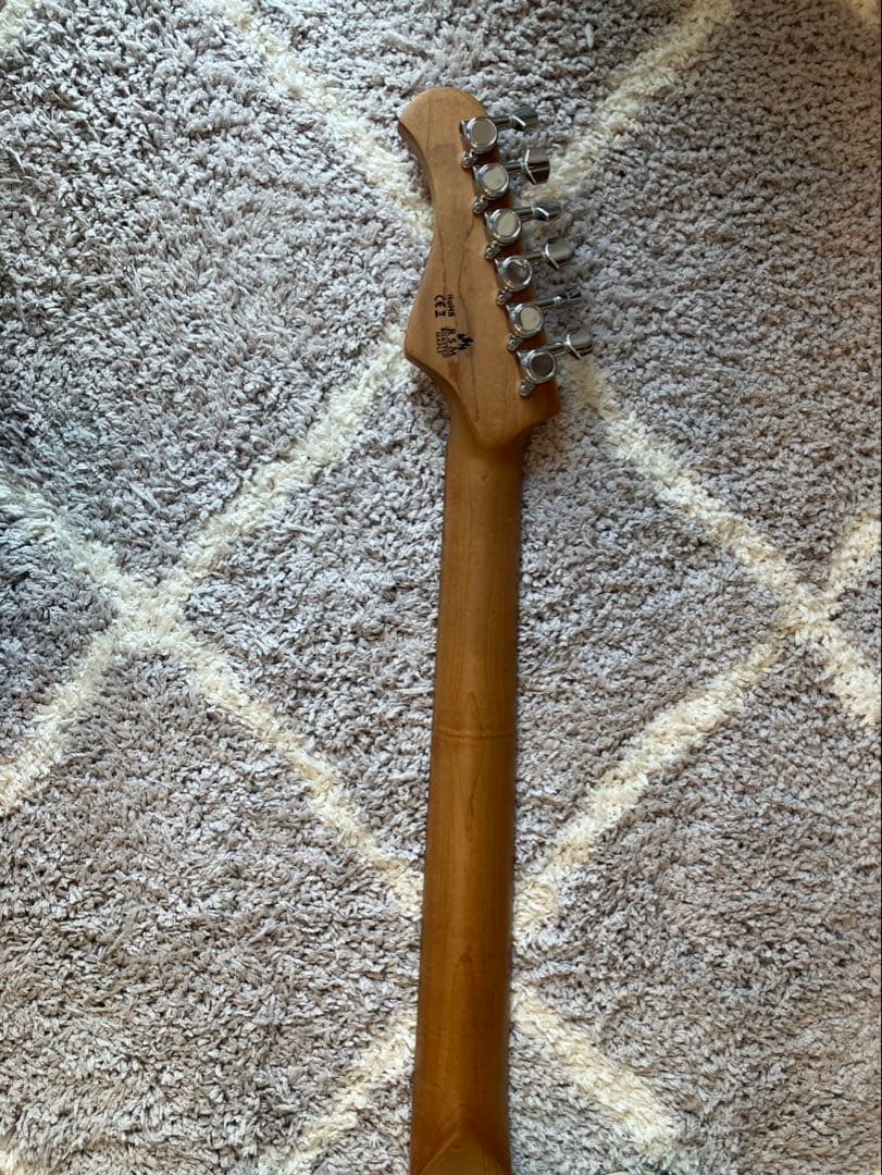 Bacchus Telecasterスタイル エレキギターセット