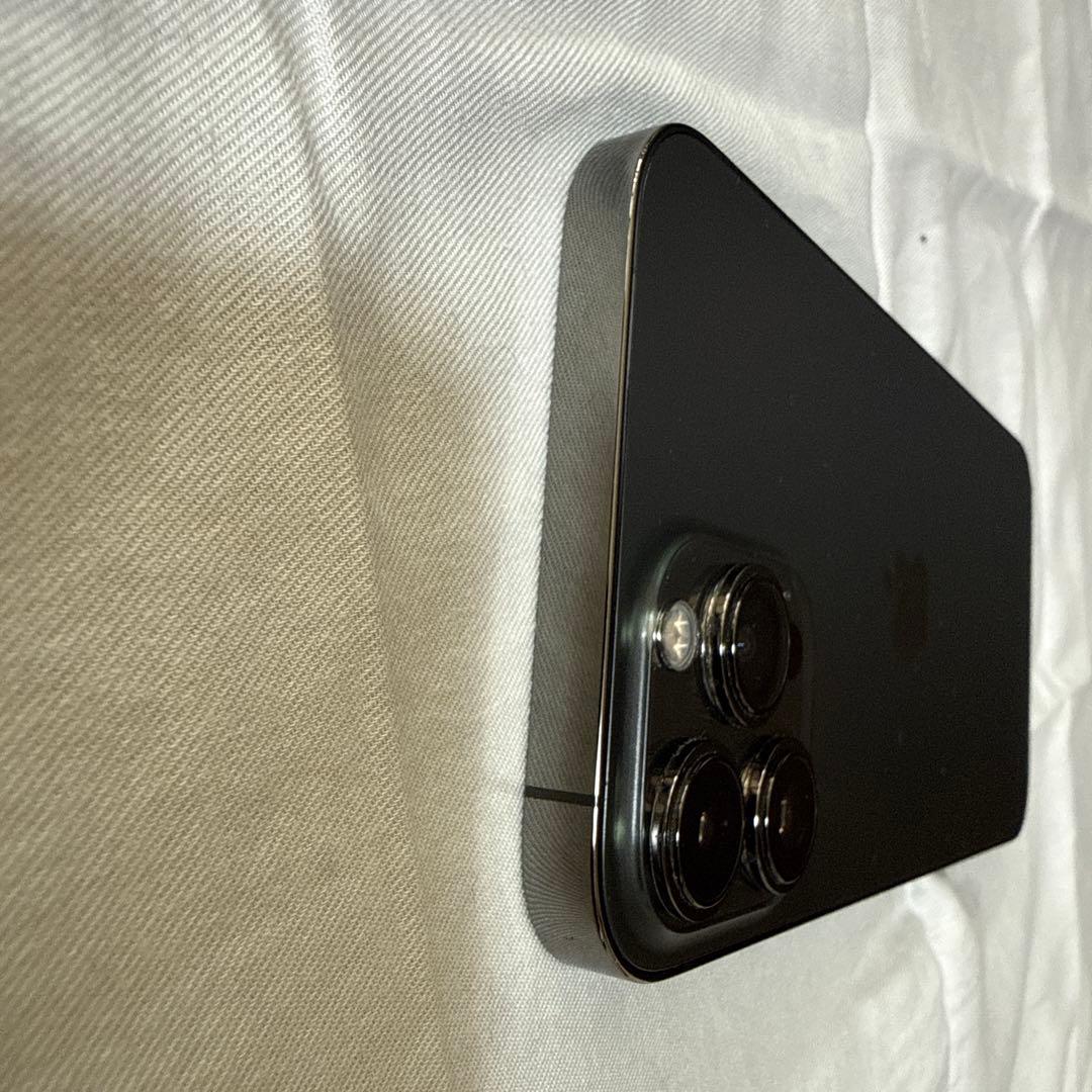 Apple iPhone 13 Pro Max グラファイト