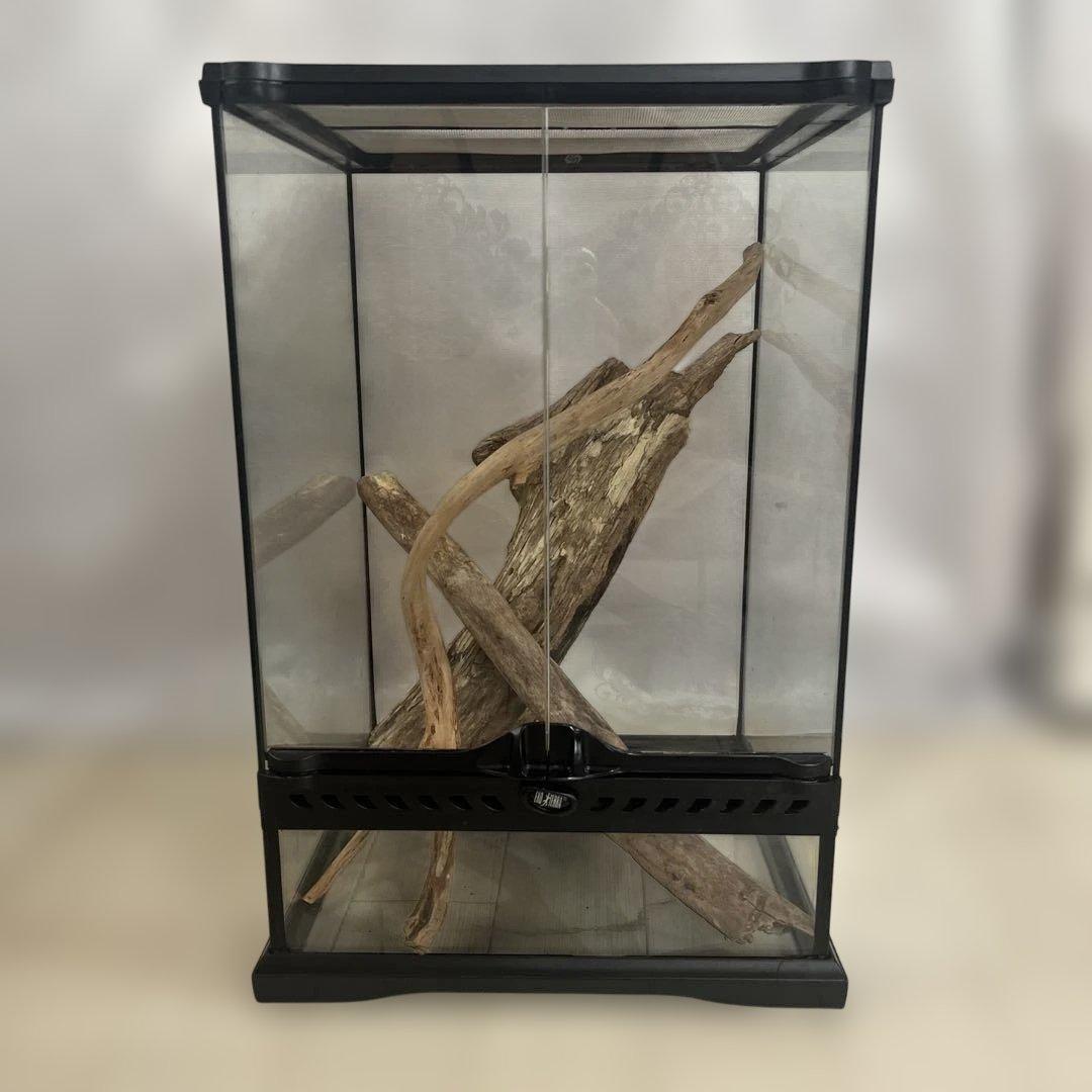 エキゾテラ　グラステラリウム　3045 流木付き
