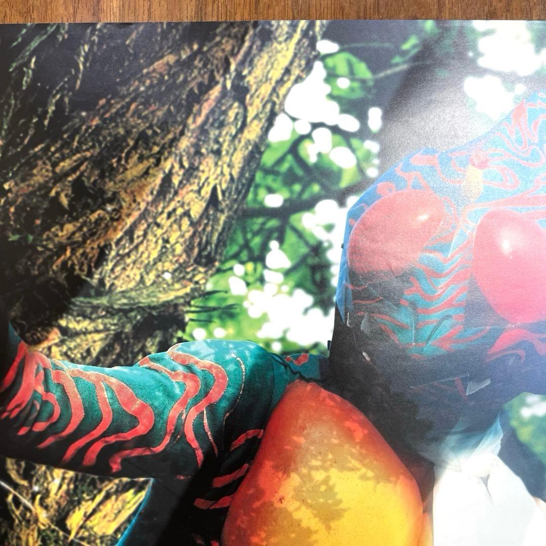 仮面ライダーアマゾン DVD 販促 告知 ポスター B2サイズ　未使用