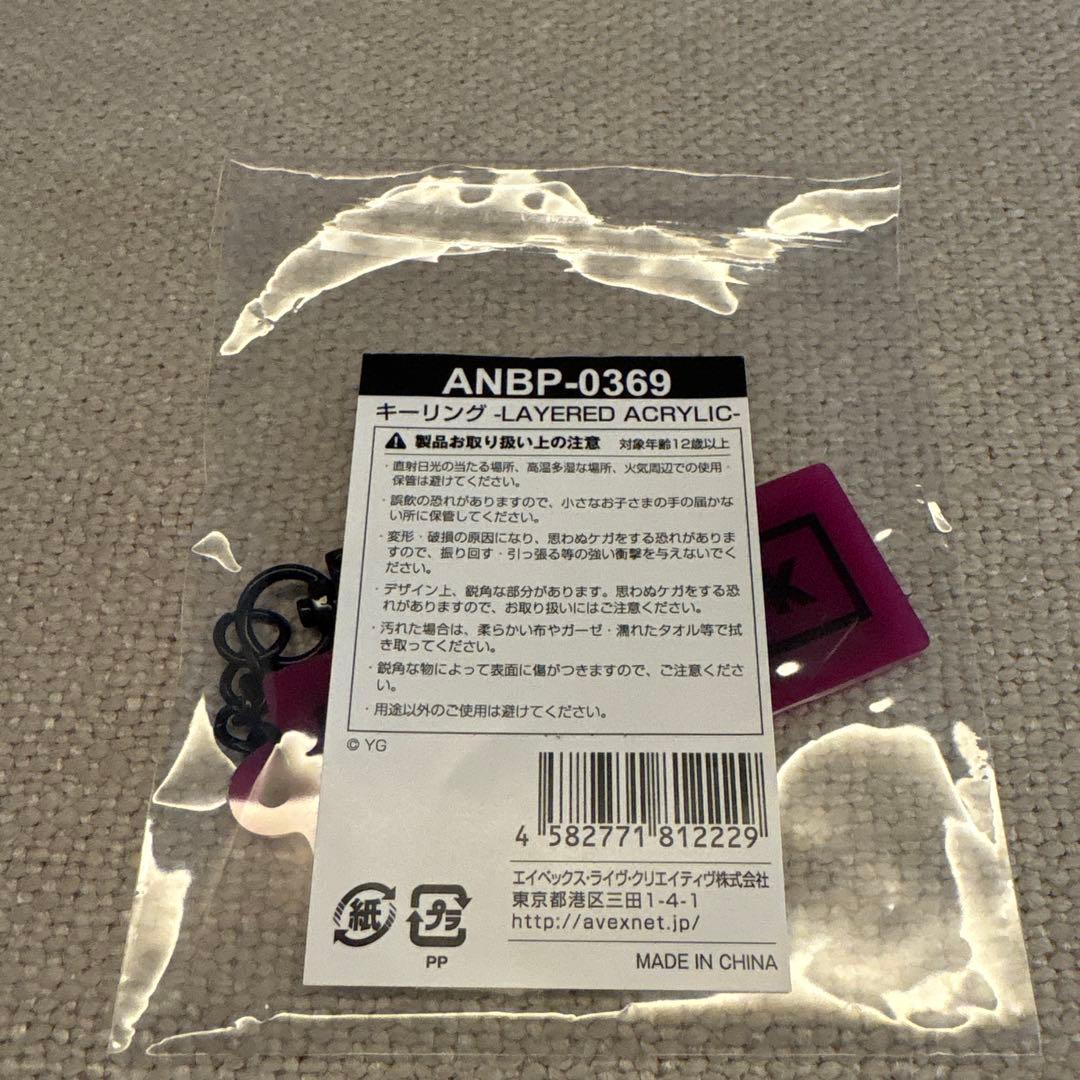 BLACKPINK DEADLINE WORLD TOUR グッズ３点セット