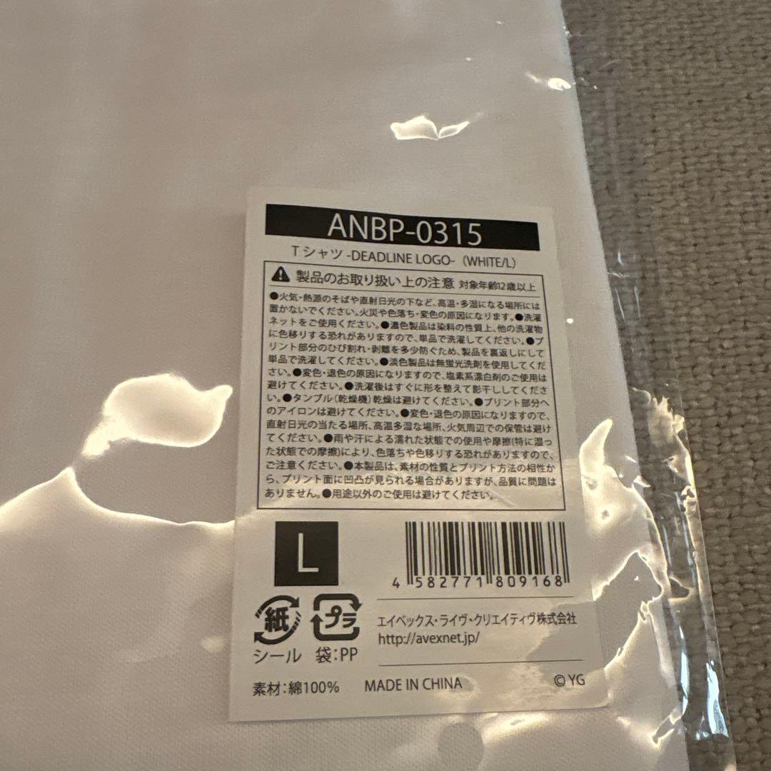 BLACKPINK DEADLINE WORLD TOUR グッズ３点セット