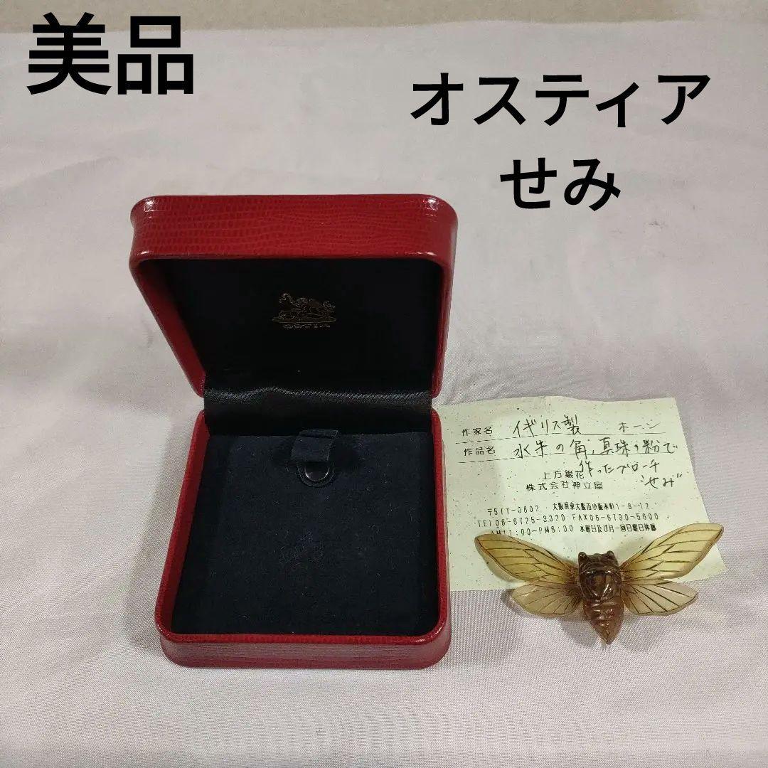 P5 超美品　OSTIA 　オスティア　せみ　イギリス　水牛の角　ブローチ