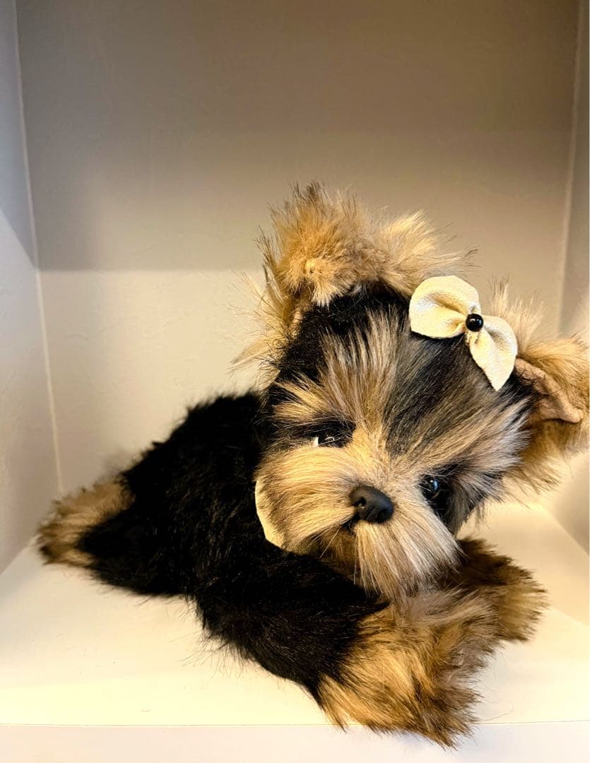 海外作家様　ミニチュアシュナウザー　犬　ぬいぐるみ　teddy bear DOG